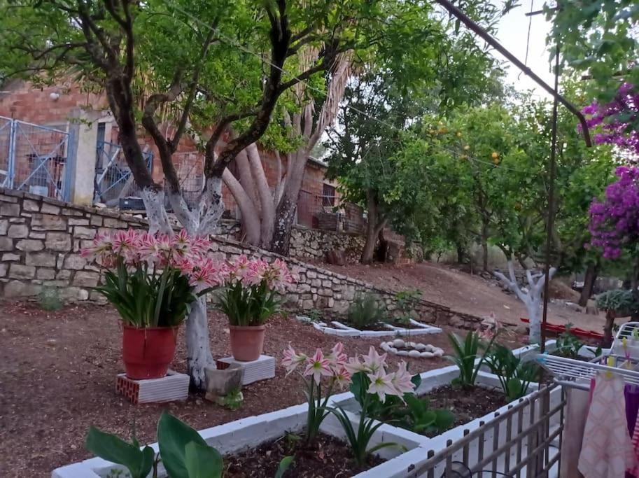 Villa Lidi Σταυρός Εξωτερικό φωτογραφία