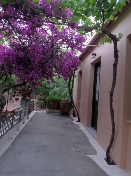 Villa Lidi Σταυρός Εξωτερικό φωτογραφία