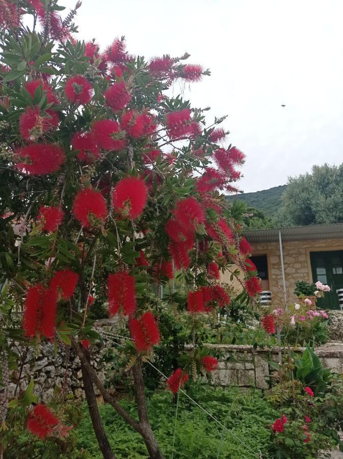 Villa Lidi Σταυρός Εξωτερικό φωτογραφία